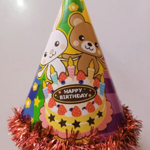 Birthday hat 13