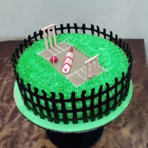 Cricket Cake 3