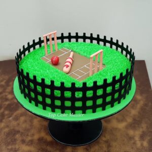 Cricket Cake 4